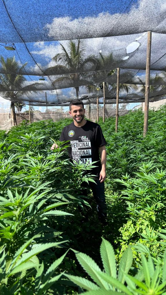 Cannabis medicinal no SUS paulista